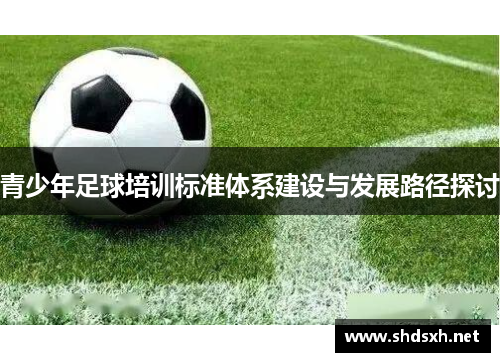 青少年足球培训标准体系建设与发展路径探讨