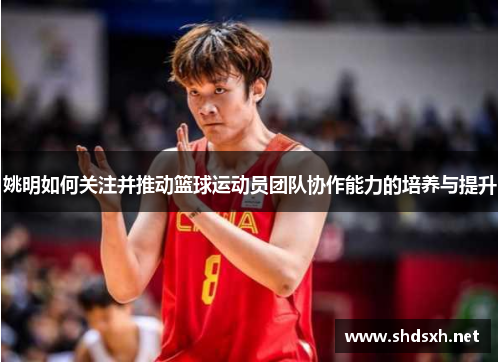 姚明如何关注并推动篮球运动员团队协作能力的培养与提升
