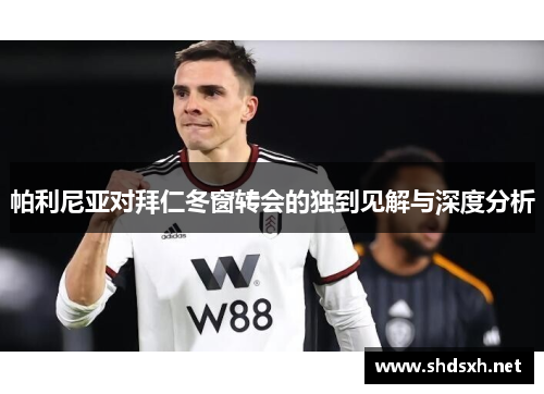 帕利尼亚对拜仁冬窗转会的独到见解与深度分析