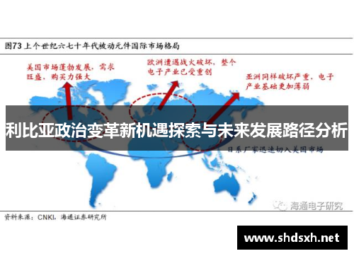利比亚政治变革新机遇探索与未来发展路径分析