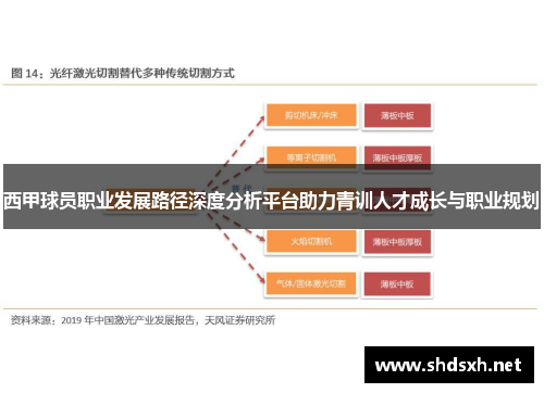 西甲球员职业发展路径深度分析平台助力青训人才成长与职业规划 西甲球员职业发展路径深度分析平台助力青训人才成长与职业规划