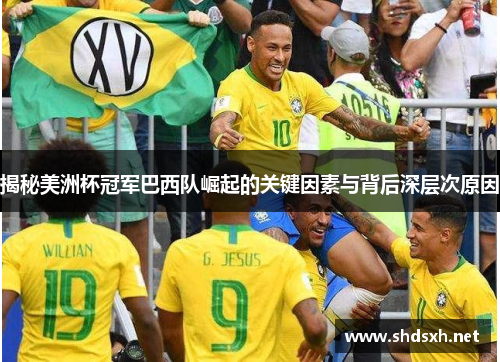 揭秘美洲杯冠军巴西队崛起的关键因素与背后深层次原因 揭秘美洲杯冠军巴西队崛起的关键因素与背后深层次原因