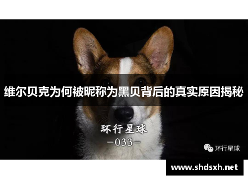 维尔贝克为何被昵称为黑贝背后的真实原因揭秘